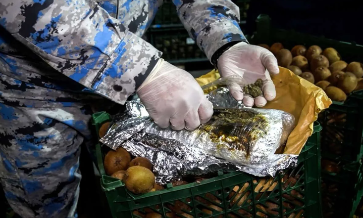 "Kivi" yükü aparan nəqliyyat vasitəsində külli miqdarda narkotik aşkar edilib<font color=red> - FOTOLAR</font>