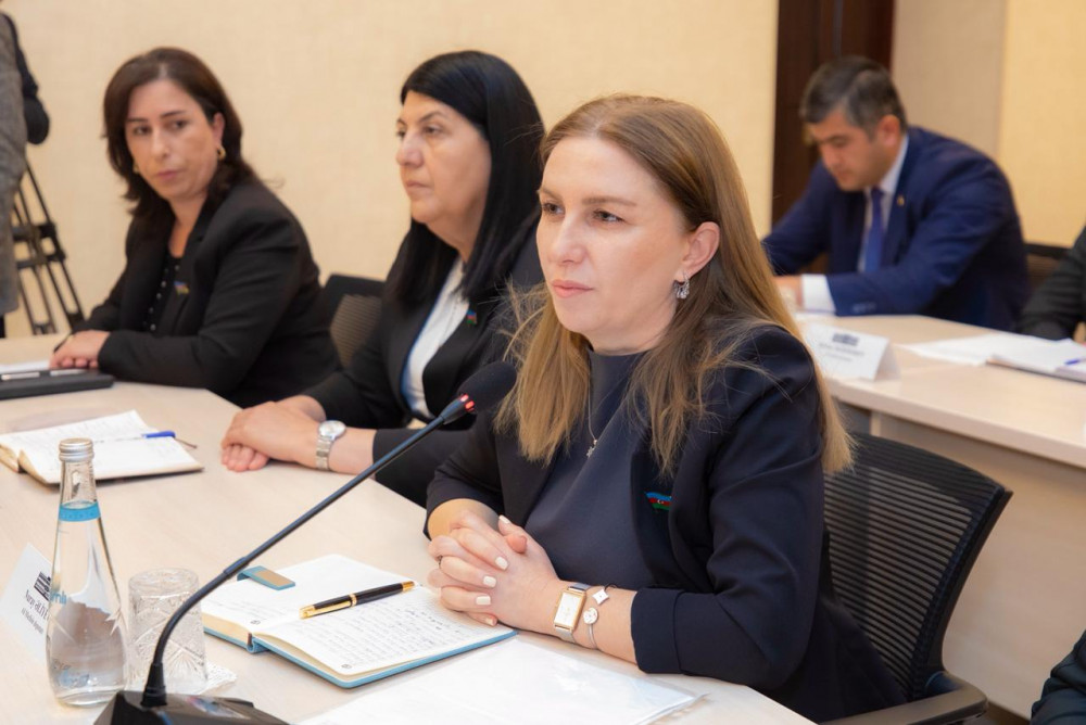 Ali Məclisin növbəti  plenar iclası keçirilib<font color=red> - FOTOLAR</font>