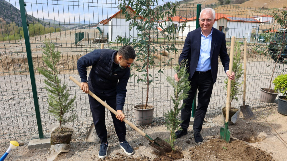Laçının “Bəylik Bağları”nda ağacəkmə aksiyası<font color=red> - FOTOLAR</font>