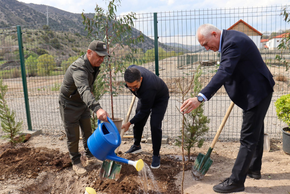 Laçının “Bəylik Bağları”nda ağacəkmə aksiyası<font color=red> - FOTOLAR</font>