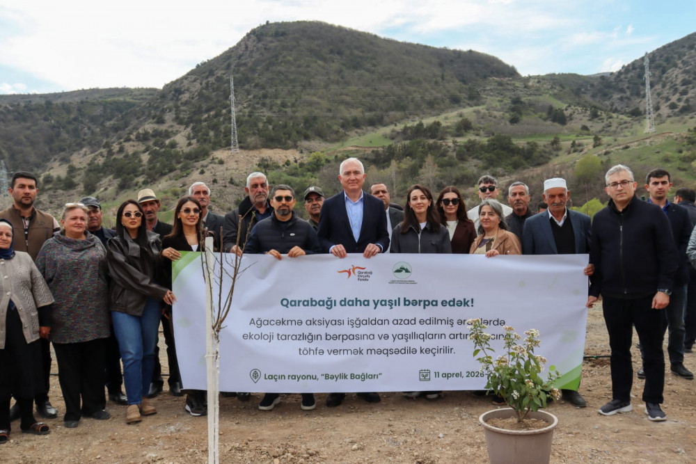 Laçının “Bəylik Bağları”nda ağacəkmə aksiyası<font color=red> - FOTOLAR</font>