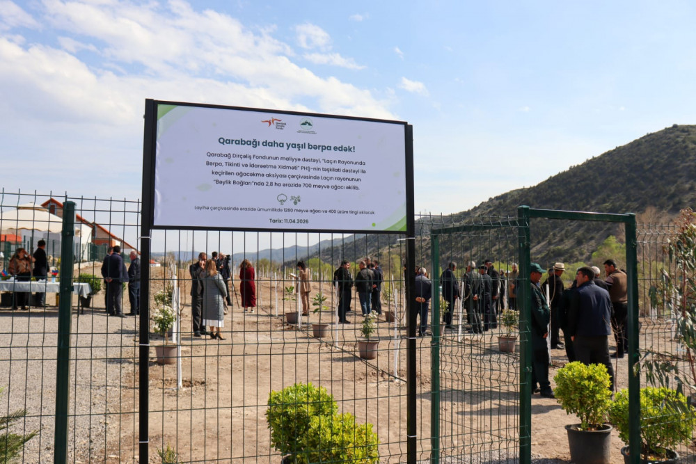 Laçının “Bəylik Bağları”nda ağacəkmə aksiyası<font color=red> - FOTOLAR</font>