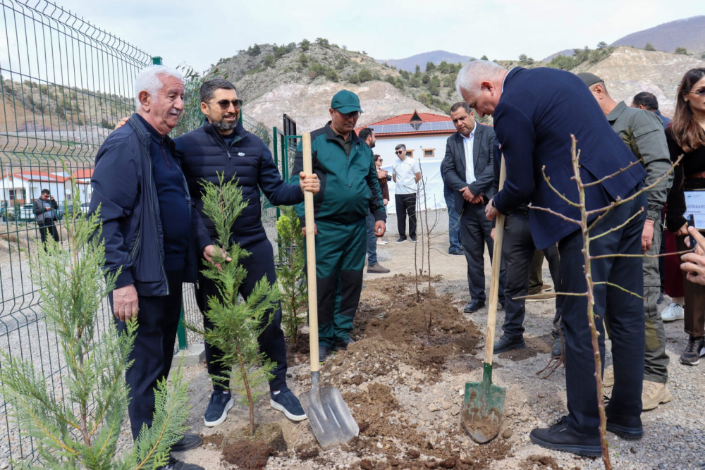 Laçının “Bəylik Bağları”nda ağacəkmə aksiyası<font color=red> - FOTOLAR</font>
