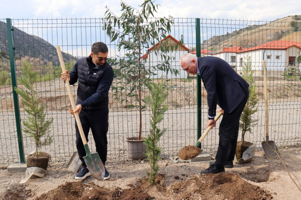Laçının “Bəylik Bağları”nda ağacəkmə aksiyası<font color=red> - FOTOLAR</font>