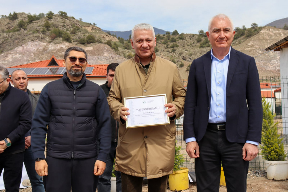 Laçının “Bəylik Bağları”nda ağacəkmə aksiyası<font color=red> - FOTOLAR</font>