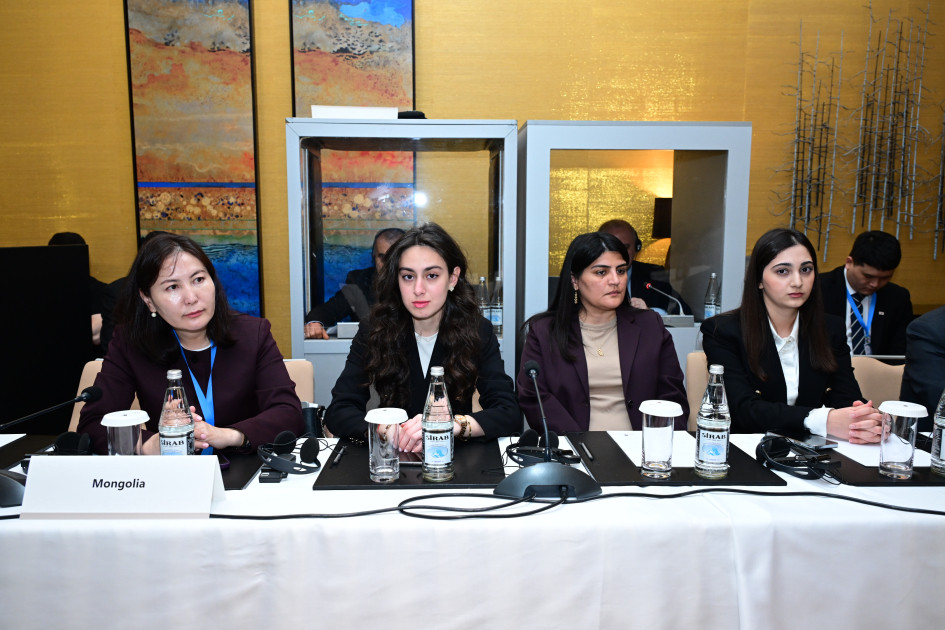 AQEM Qadınlar Şurasının ilk iclasında mühüm çağırışlar səsləndirilib<font color=red> - FOTOLAR</font>