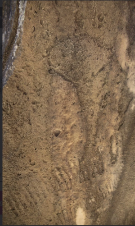 Qobustanda yeni qayaüstü təsvirlər aşkar olunub<font color=red> - FOTOLAR</font>