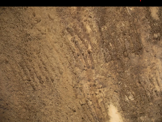 Qobustanda yeni qayaüstü təsvirlər aşkar olunub<font color=red> - FOTOLAR</font>