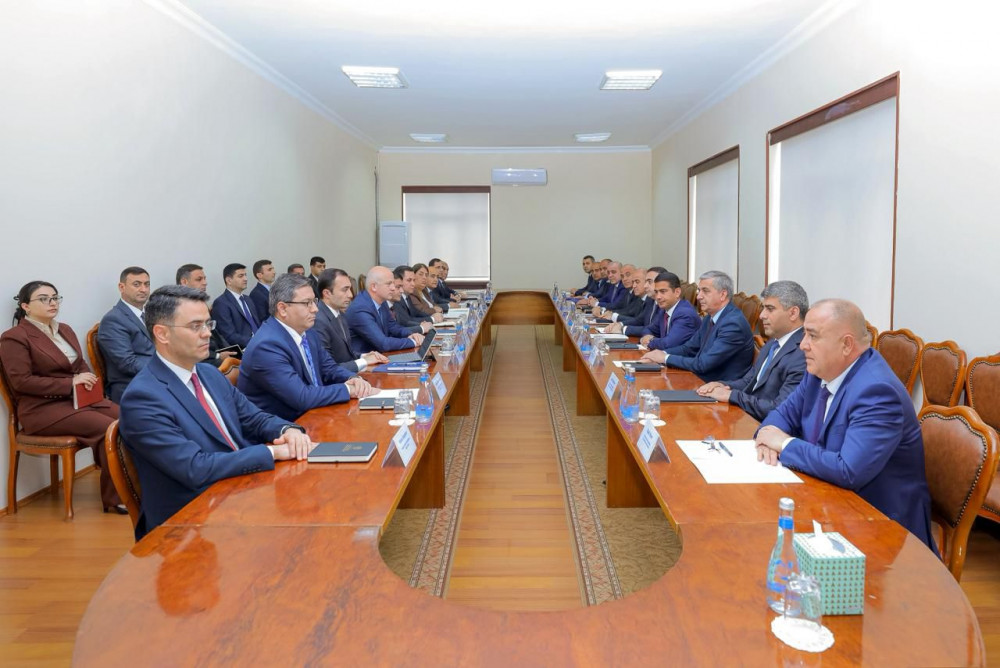 Naxçıvan Muxtar Respublikasının Nazirlər Kabinetində müşavirə keçirilib<font color=red> - FOTOLAR</font>