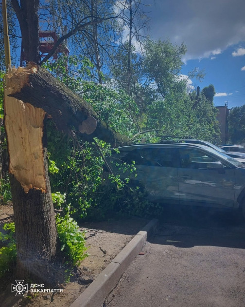 Ukraynada anomal hava şəraiti nəticəsində ölənlər var<font color=red> - FOTOLAR</font>