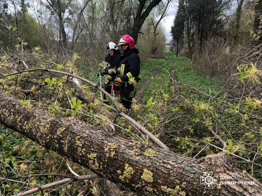 Ukraynada anomal hava şəraiti nəticəsində ölənlər var<font color=red> - FOTOLAR</font>