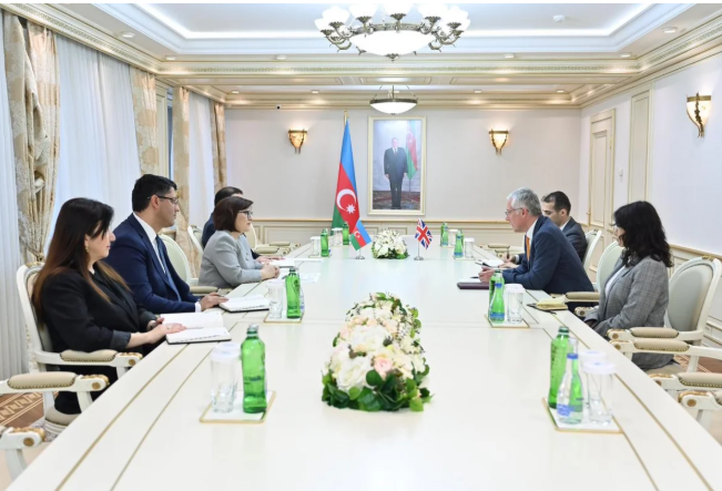 Sahibə Qafarova Britaniya səfiri ilə parlamentlərarası və iqtisadi əlaqələri müzakirə edib<font color=red> - FOTOLAR</font>