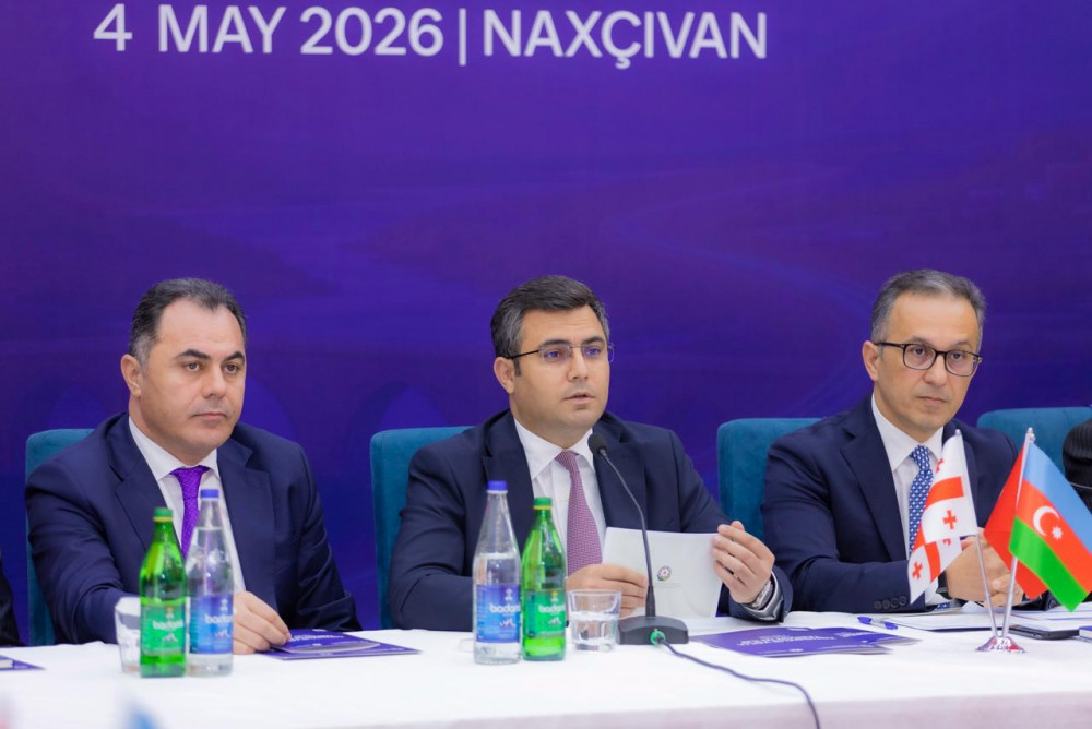 Naxçıvanda “Zəngəzur yolu: tarixin izi ilə” mövzusunda konfrans keçirilib<font color=red> - FOTOLAR</font>