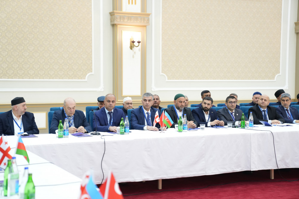 Naxçıvanda “Zəngəzur yolu: tarixin izi ilə” mövzusunda konfrans keçirilib<font color=red> - FOTOLAR</font>