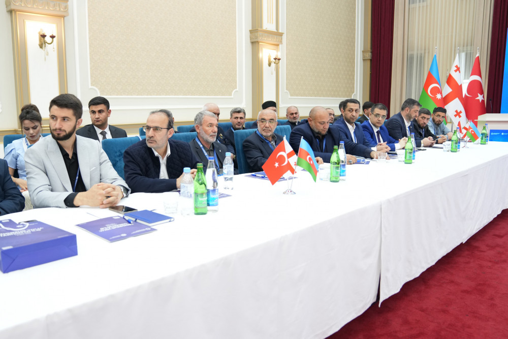 Naxçıvanda “Zəngəzur yolu: tarixin izi ilə” mövzusunda konfrans keçirilib<font color=red> - FOTOLAR</font>