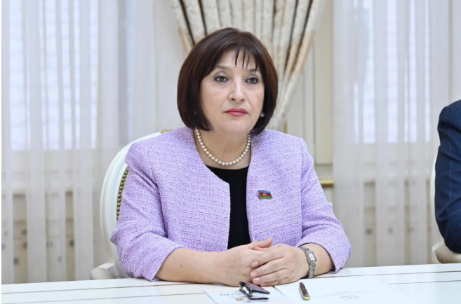Sahibə Qafarova: Milli Məclisin deputatları PAİ-də rəhbər vəzifələrdə təmsil olunurlar<font color=red> - FOTOLAR</font>