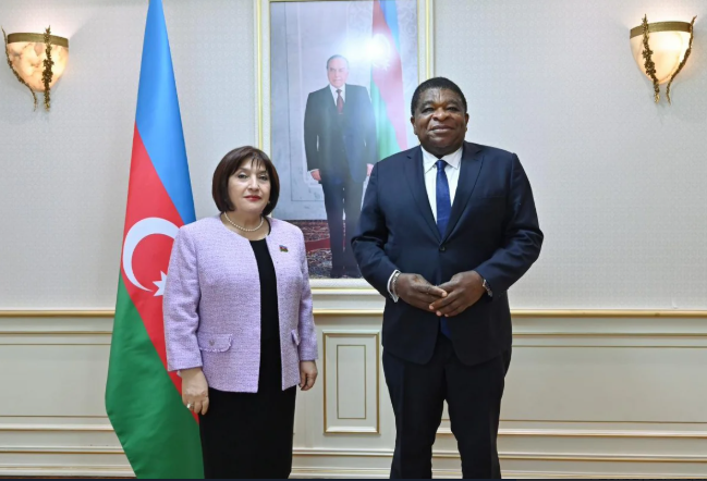 Sahibə Qafarova: Milli Məclisin deputatları PAİ-də rəhbər vəzifələrdə təmsil olunurlar<font color=red> - FOTOLAR</font>