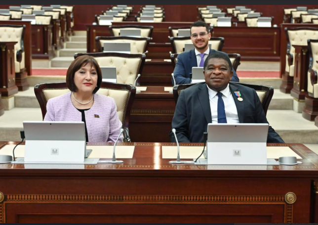 Sahibə Qafarova: Milli Məclisin deputatları PAİ-də rəhbər vəzifələrdə təmsil olunurlar<font color=red> - FOTOLAR</font>