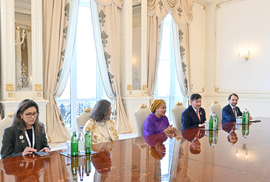 Prezident İlham Əliyev BMT Baş katibinin müavinini qəbul edib<font color=red> - FOTOLAR</font>