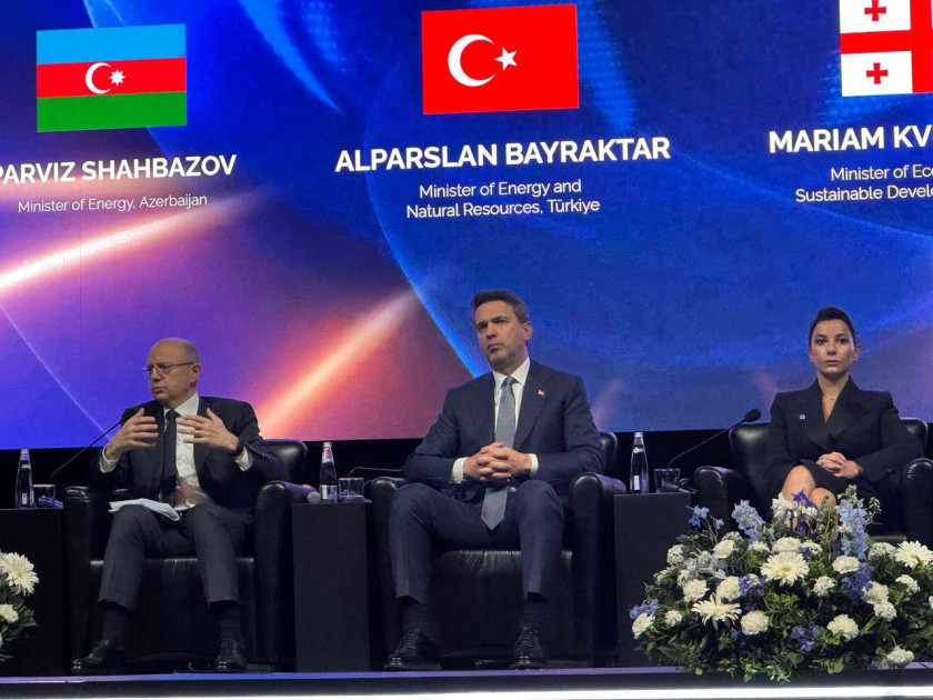 Energetika naziri İstanbul Təbii Sərvətlər Zirvəsində iştirak edib<font color=red> - FOTOLAR</font>