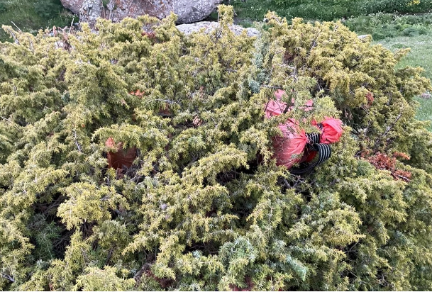 DİN və DSX İranla sərhəddə əməliyyat keçirib, 38 kq narkotik dövriyyədən çıxarılıb<font color=red> - FOTOLAR</font>