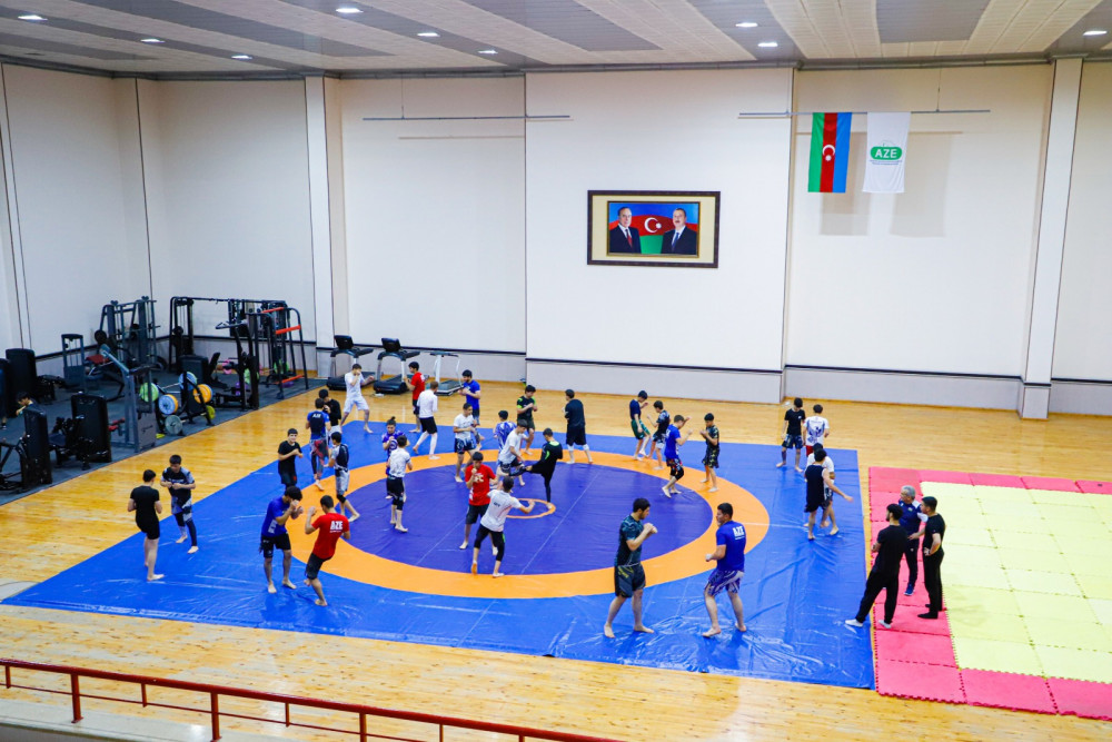 Savat Federasiyasının prezidenti Naxçıvanda seminar keçib<font color=red> - FOTOLAR</font>