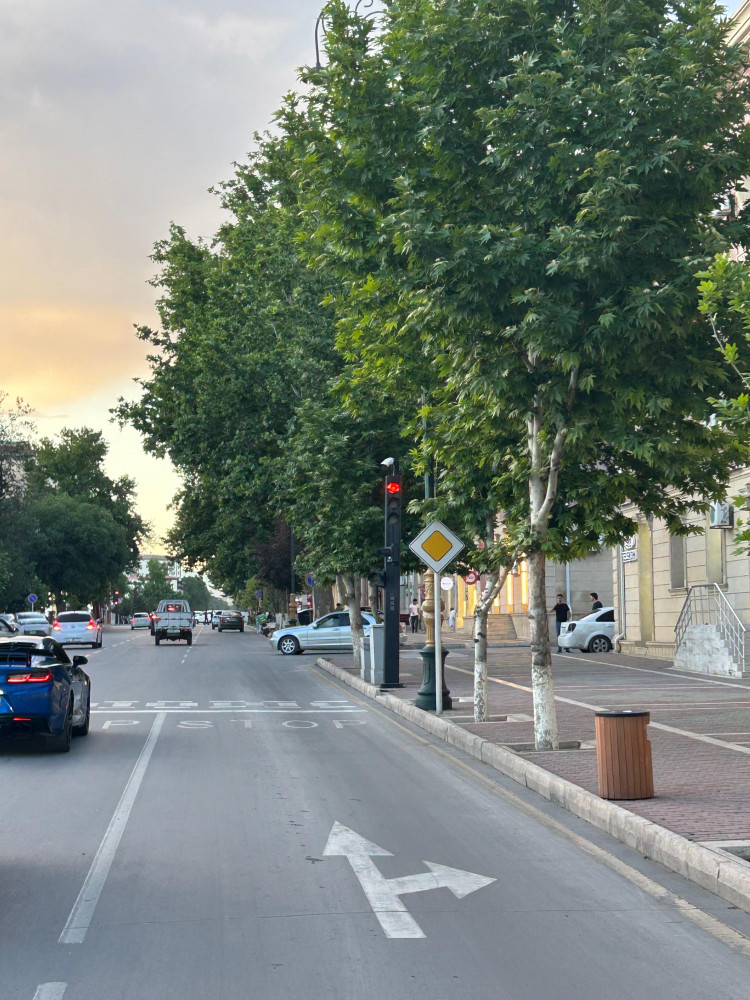 Naxçıvanda yol nişanları yenilənir<font color=red> - FOTOLAR</font>