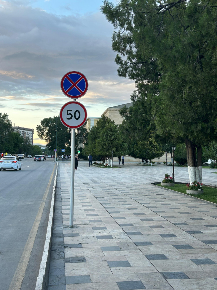 Naxçıvanda yol nişanları yenilənir<font color=red> - FOTOLAR</font>