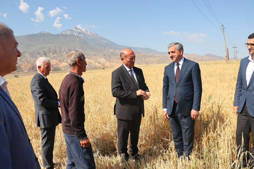 Naxçıvanda taxıl biçininə start verilib<font color=red> - FOTOLAR</font>