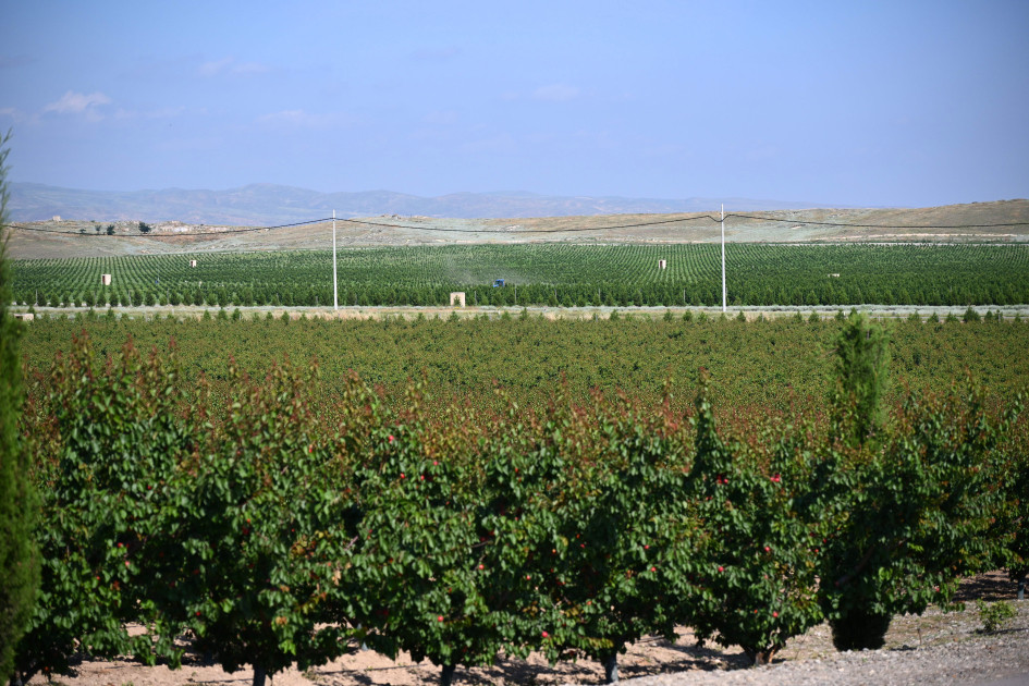 Əlaqələndirmə Qərargahının üzvlərinin Ağdərə və Xocalı rayonlarına səfəri başlayıb<font color=red> - FOTOLAR</font>