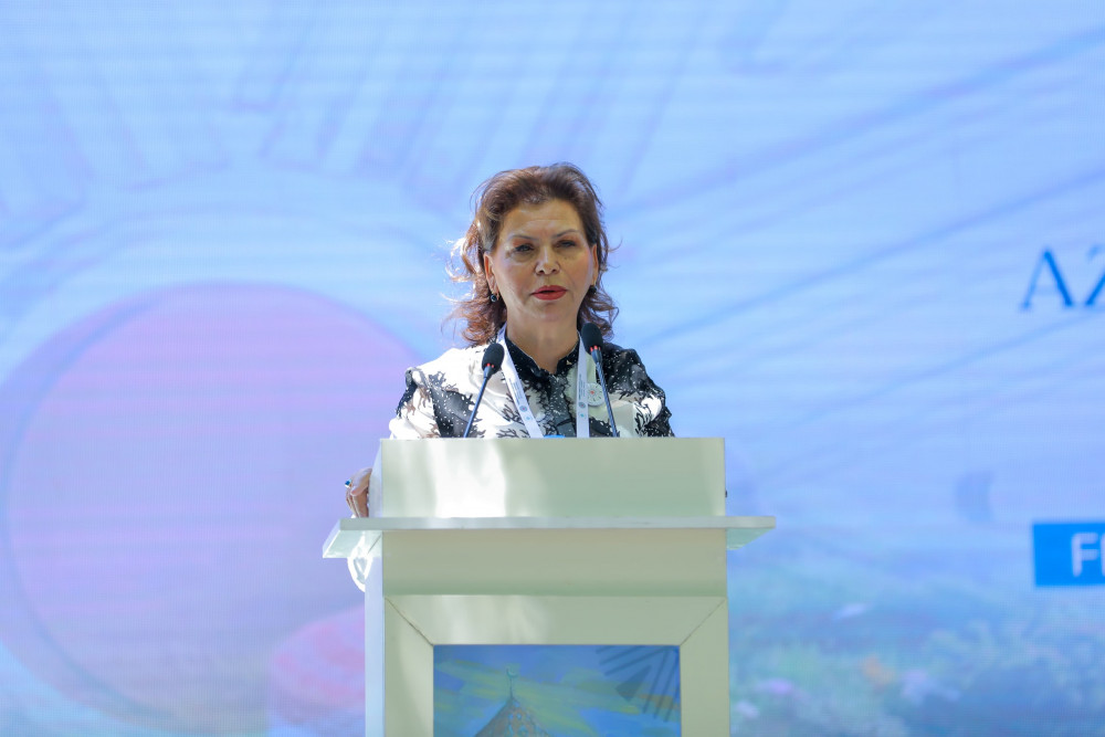 Naxçıvanda “Qərbi Azərbaycana qayıdış” III konqres-festival keçirilir<font color=red> - FOTOLAR</font>