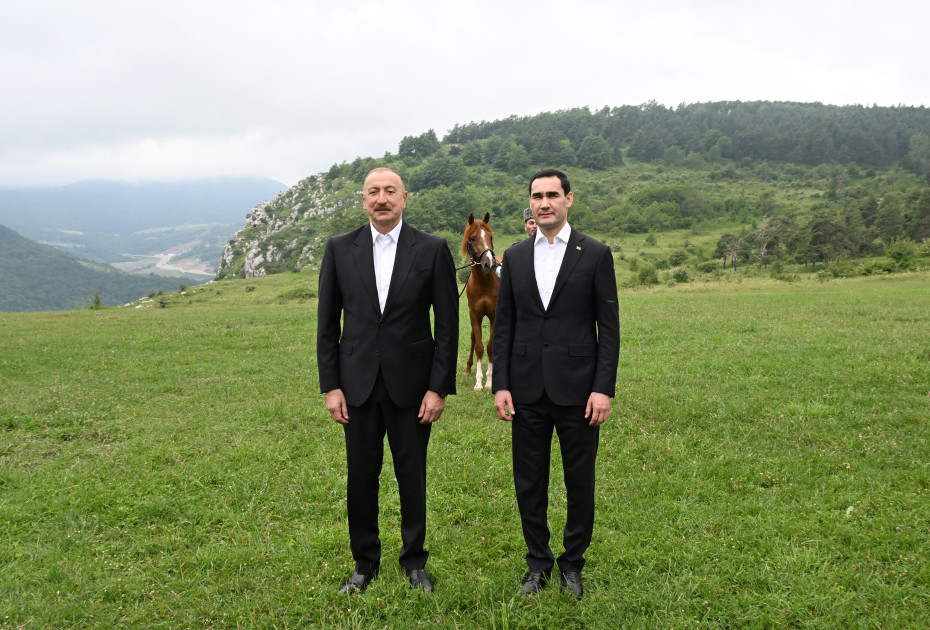 Türkmənistan Prezidentinə Qarabağ atı hədiyyə edilib<font color=red> - FOTOLAR</font>