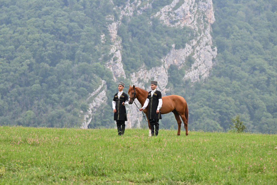 Türkmənistan Prezidentinə Qarabağ atı hədiyyə edilib<font color=red> - FOTOLAR</font>