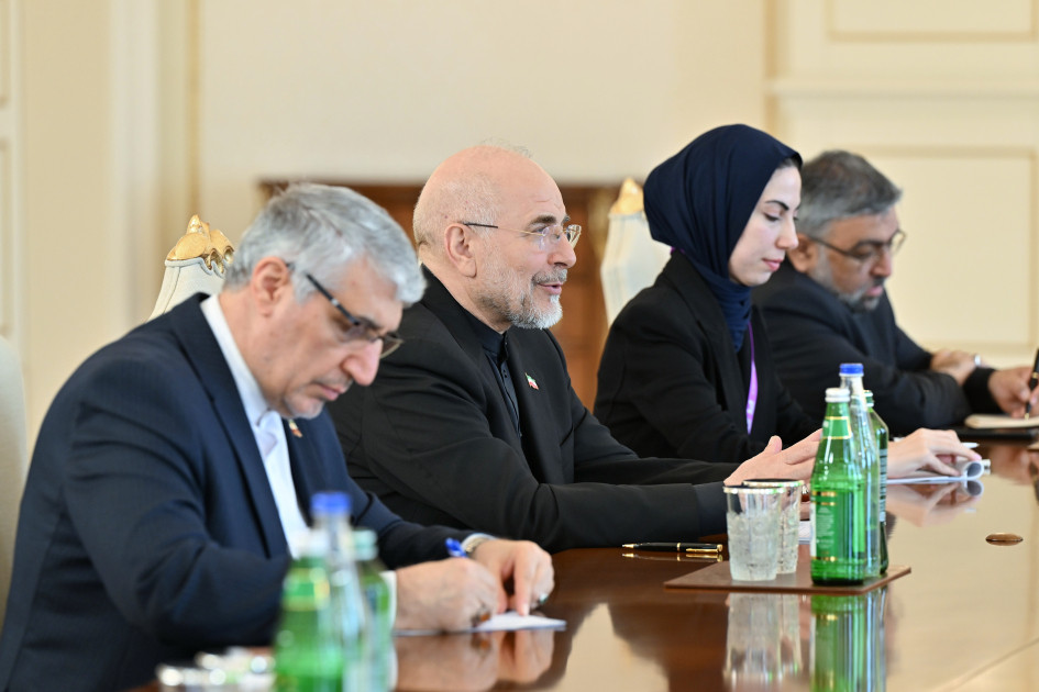 Prezident İlham Əliyev İran İslam Şurası Məclisinin sədrinin başçılıq etdiyi nümayəndə heyətini qəbul edib<font color=red> - FOTOLAR</font>
