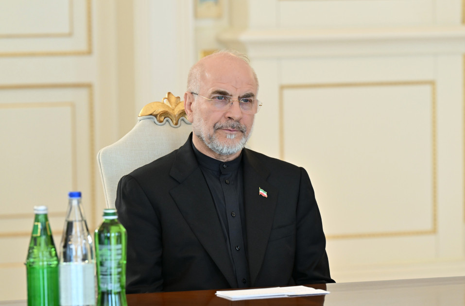 Prezident İlham Əliyev İran İslam Şurası Məclisinin sədrinin başçılıq etdiyi nümayəndə heyətini qəbul edib<font color=red> - FOTOLAR</font>
