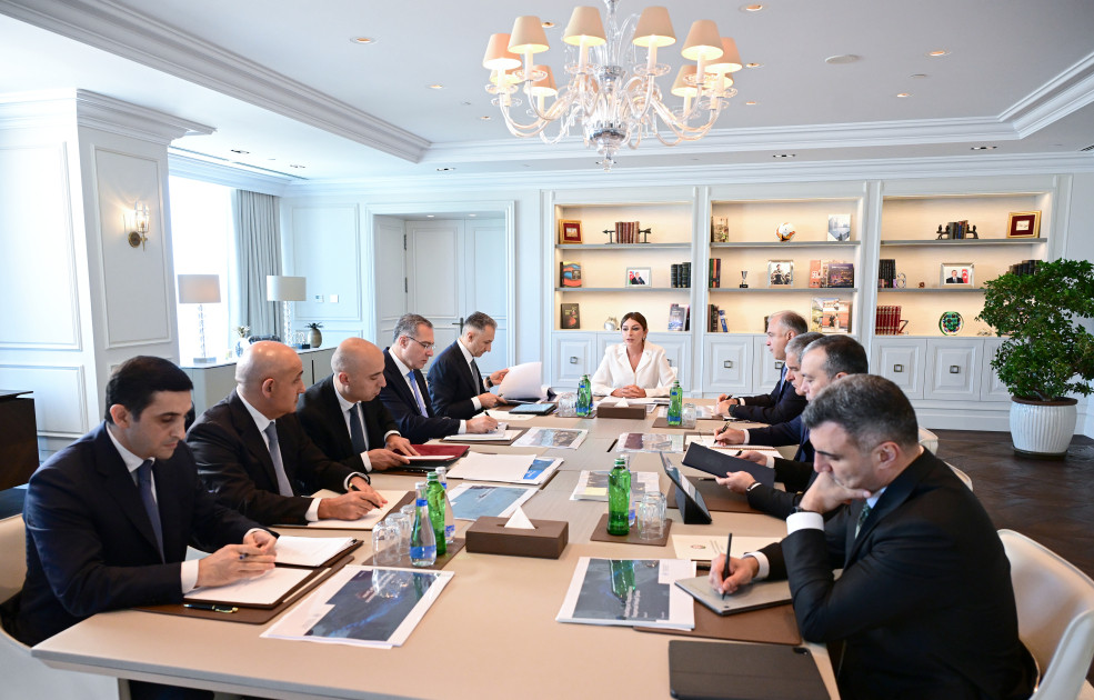 Birinci vitse-prezident Mehriban Əliyevanın sədrliyi ilə Rəqəmsal İnkişaf Şurasının ilk iclası keçirilib<font color=red> - FOTOLAR</font>
