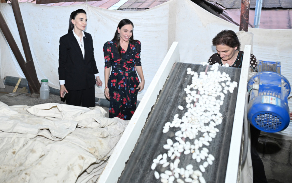 Leyla Əliyeva “Azəripək” ASC-nin fəaliyyəti ilə yaxından tanış olub<font color=red> - FOTOLAR</font>