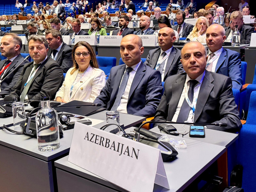 Azərbaycan nümayəndə heyəti ATƏT PA-nın illik sessiyasında iştirak edib<font color=red> - FOTOLAR</font>