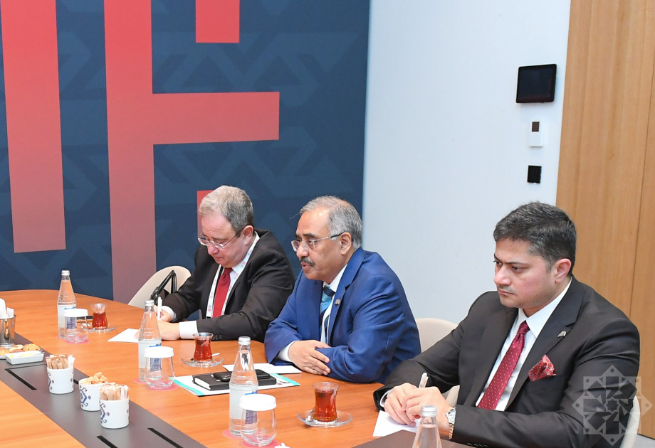 Prezidentin köməkçisi Hikmət Hacıyev Şuşada D-8 İqtisadi Əməkdaşlıq Təşkilatının nümayəndə heyəti ilə görüşüb<font color=red> - FOTOLAR</font>