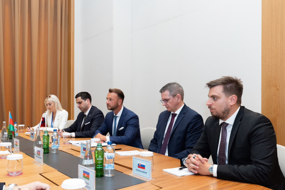 Azərbaycan və Slovakiyanın daxili işlər nazirləri əməkdaşlığa dair Anlaşma Memorandumu imzalayıblar<font color=red> - FOTOLAR</font>