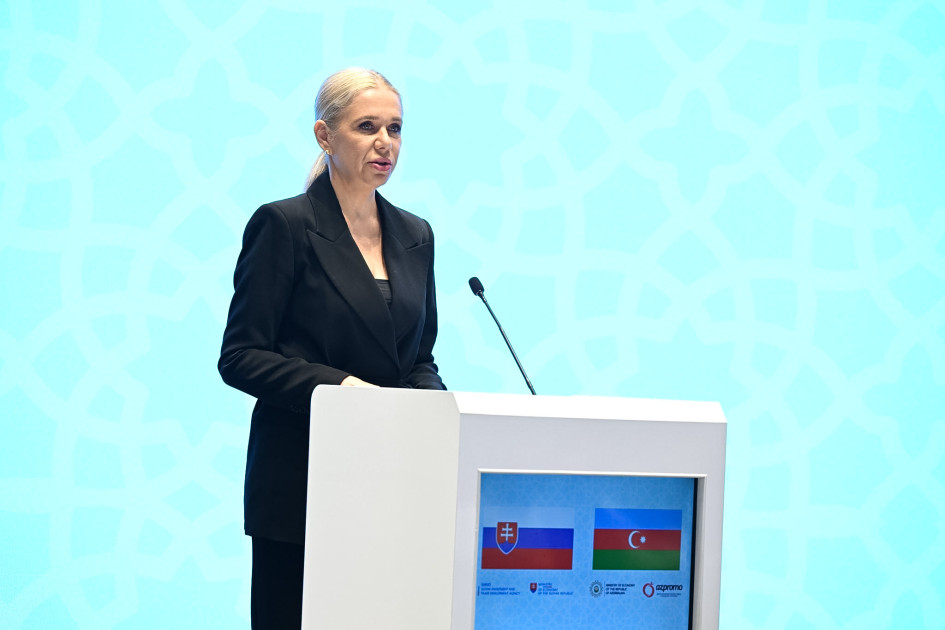 Bakıda Azərbaycan-Slovakiya biznes forumu işə başlayıb<font color=red> - FOTOLAR</font>