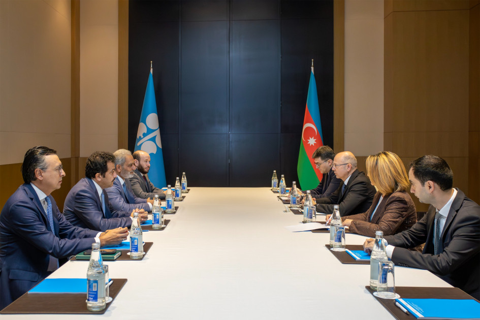 OPEC+ əməkdaşlığının gələcək inkişaf perspektivləri dəyərləndirilib<font color=red> - FOTOLAR</font>