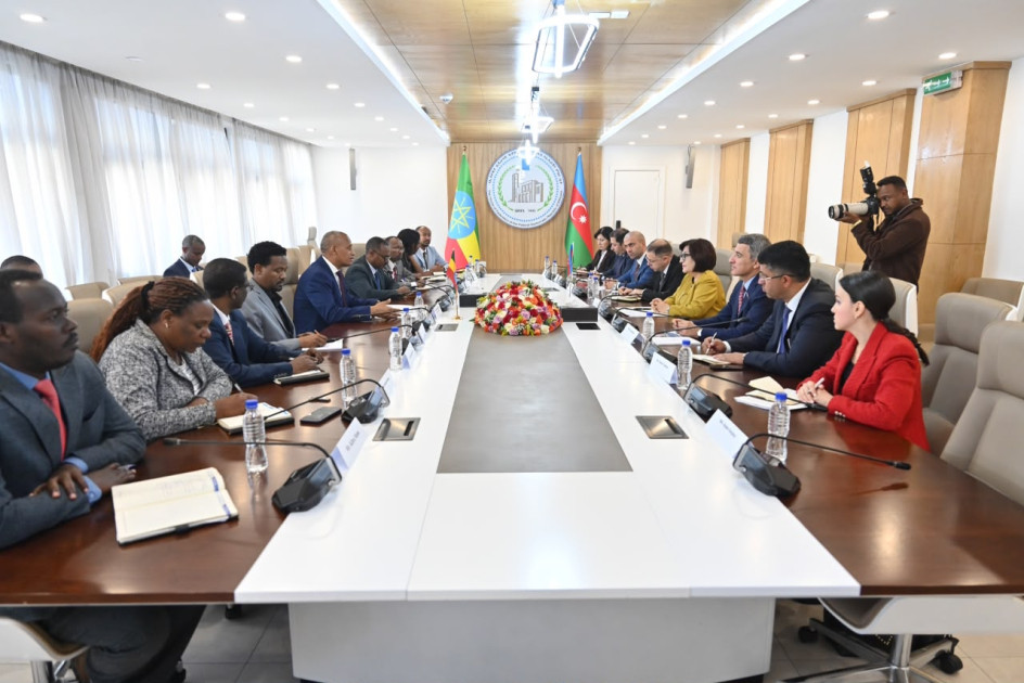 Efiopiya Federasiya Palatasının sədri: Azərbaycan fəal parlament diplomatiyası həyata keçirir<font color=red> - FOTOLAR</font>