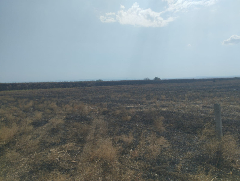 Bölgələrdə yanğın törədən 5 nəfər məsuliyyətə cəlb olunub<font color=red> - FOTOLAR</font>
