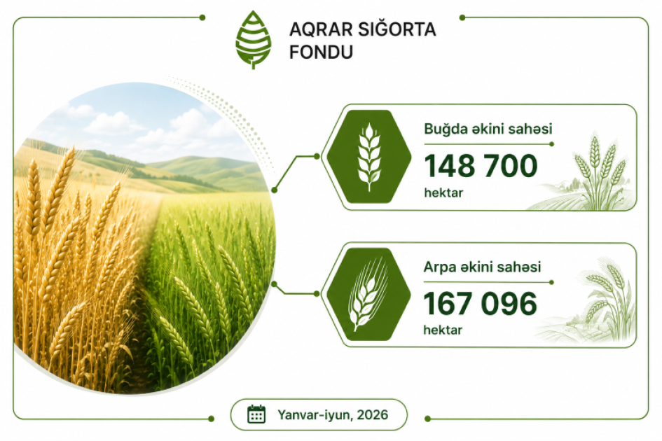 Azərbaycanda sığortalanan əkin sahələri 341 min hektarı keçib<font color=red> - FOTOLAR</font>