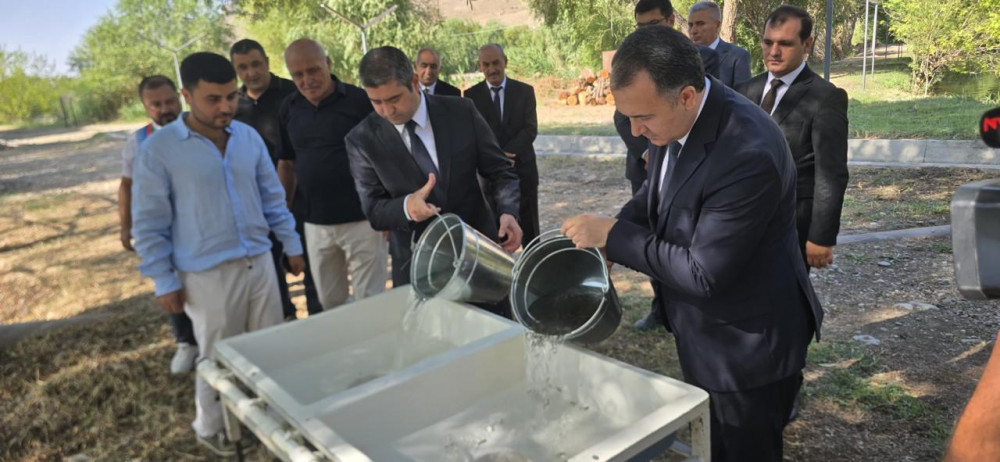Naxçıvanda yeni fəaliyyətə başlayan balıqçılıq və akvakultura müəssisələrinə baxış keçirilib<font color=red> - FOTOLAR</font>