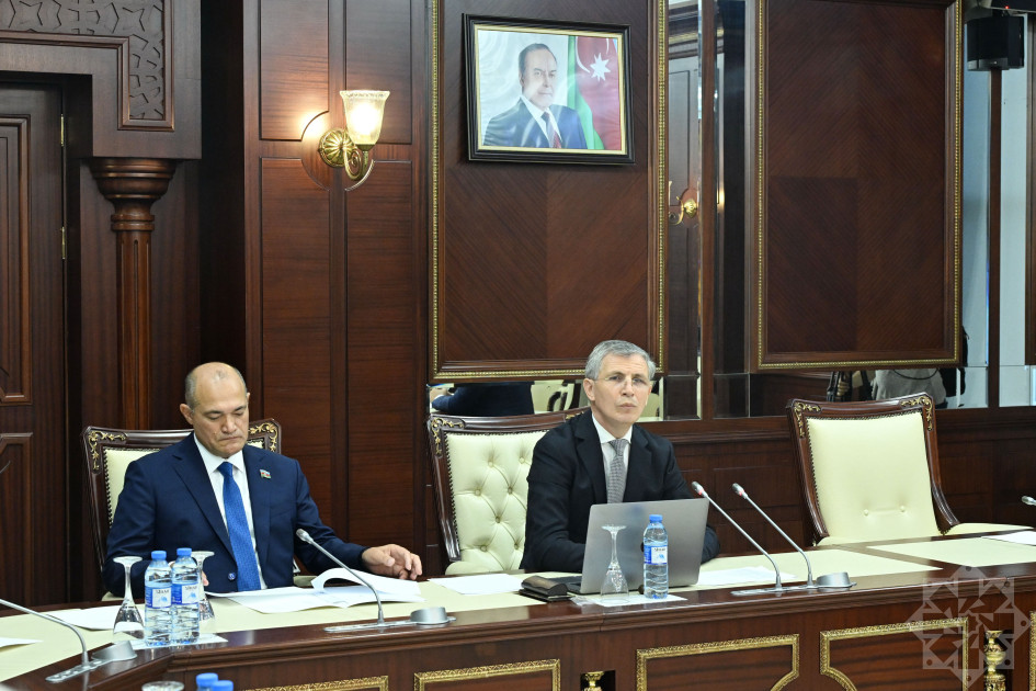 Milli Məclisin İnsan hüquqları komitəsinin payız sessiyasında ilk iclası keçirilib<font color=red> - FOTOLAR</font>