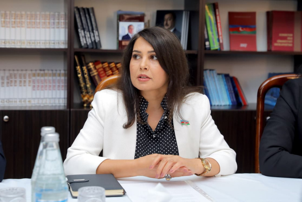 Ali Məclisin Sosial siyasət komitəsinin iclası keçirilib<font color=red> - FOTOLAR</font>