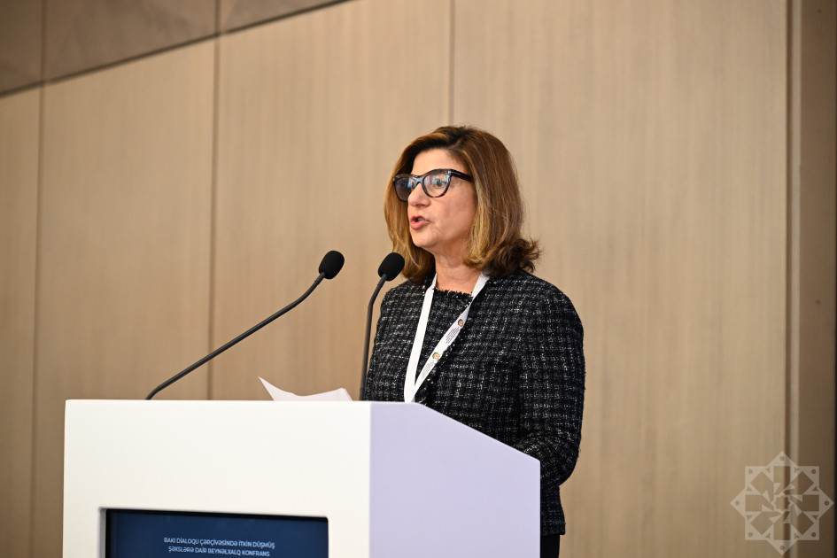 İtkin düşmüş şəxslərlə bağlı Bakı Dialoqu formatında IV beynəlxalq konfrans işə başlayıb<font color='red'> - YENİLƏNİB</font><font color=red> - FOTOLAR</font>