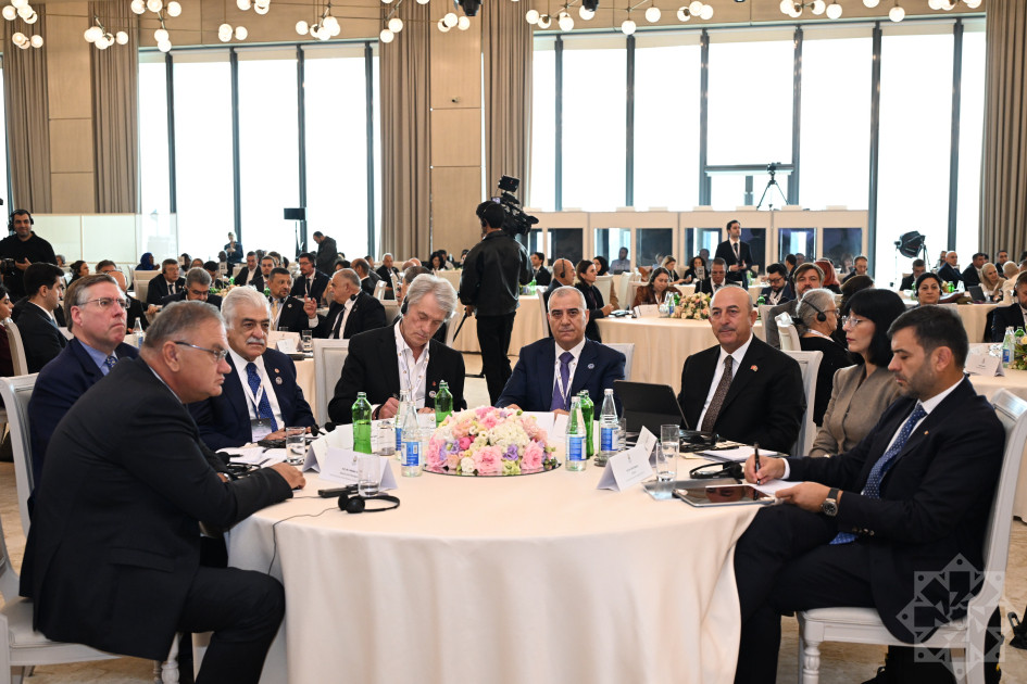 İtkin düşmüş şəxslərlə bağlı Bakı Dialoqu formatında IV beynəlxalq konfrans işə başlayıb<font color='red'> - YENİLƏNİB</font><font color=red> - FOTOLAR</font>